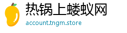 热锅上蝼蚁网